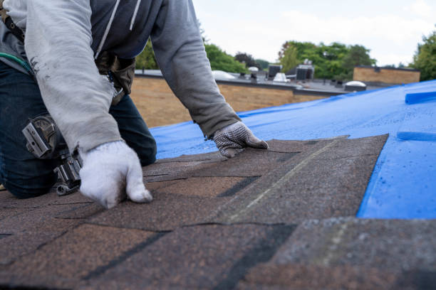 Best Roof Waterproofing Services  in Marshall, WI