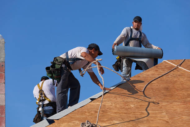 Best Affordable Roofing Company  in Marshall, WI