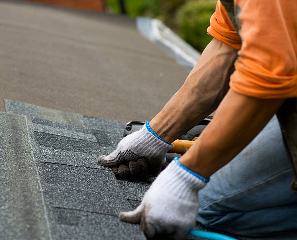 Quick and Trustworthy Emergency Roof Repair Services in Marshall, WI